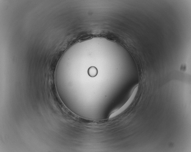 X0000113060272200909110923