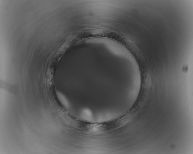X0000113060273200909110923
