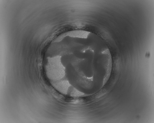X0000113060274200909110923