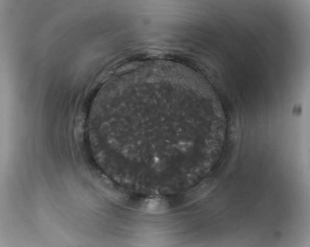 X0000113060275200909110923