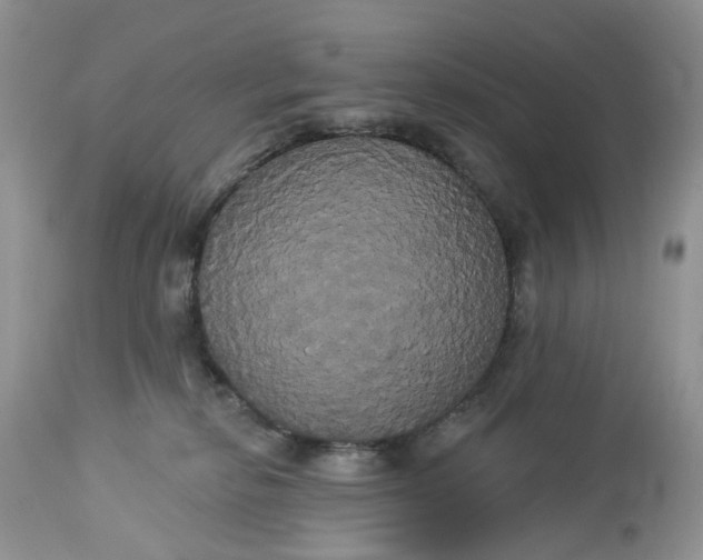 X0000113060278200909110923