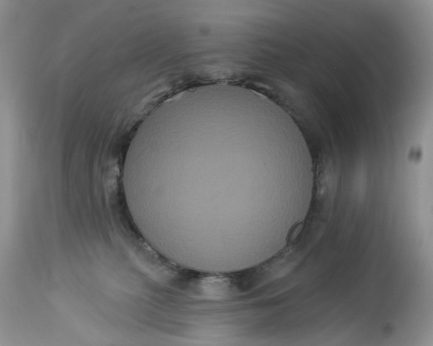 X0000113060279200909110923