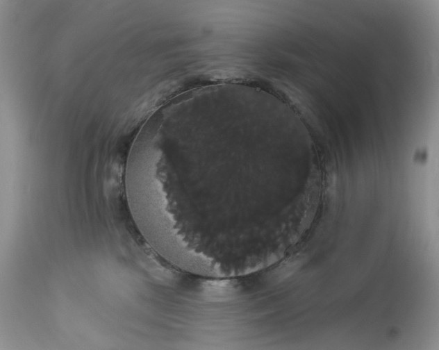 X0000113060281200909110923