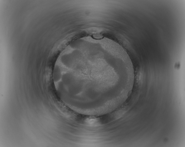 X0000113060283200909110923