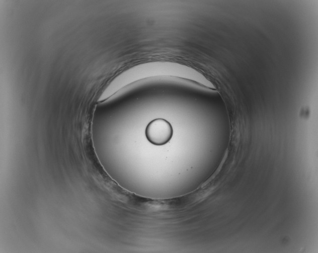 X0000113060284200909110923
