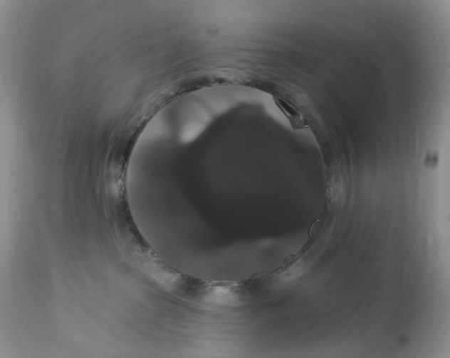 X0000113060285200909110923