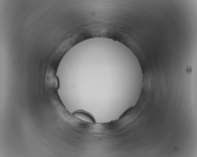 X0000113060287200909110923