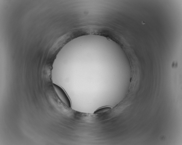 X0000113060288200909110923