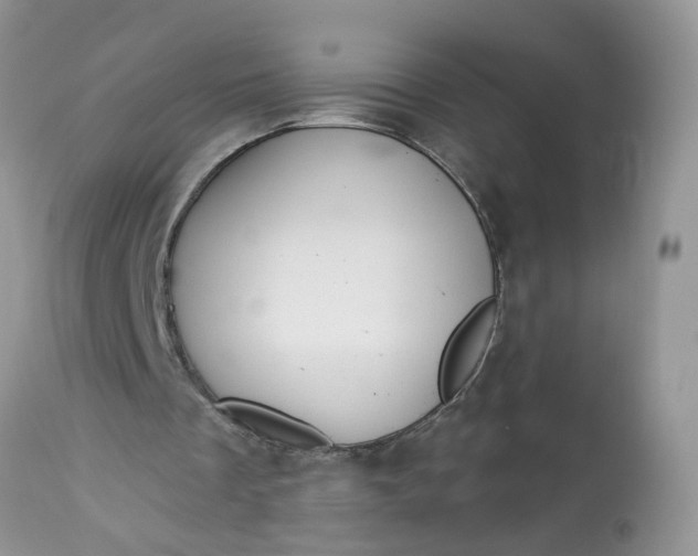 X0000113060289200909110922