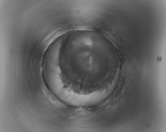 X0000113060290200909110922