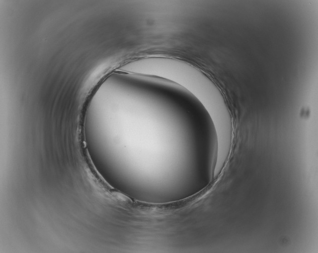 X0000113060293200909110922