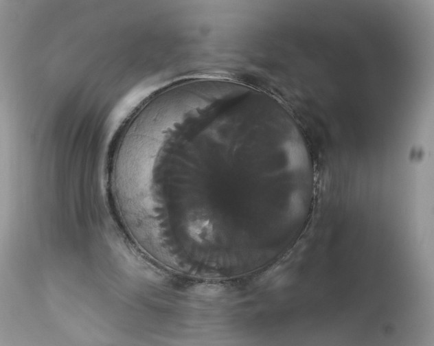 X0000113060294200909110922