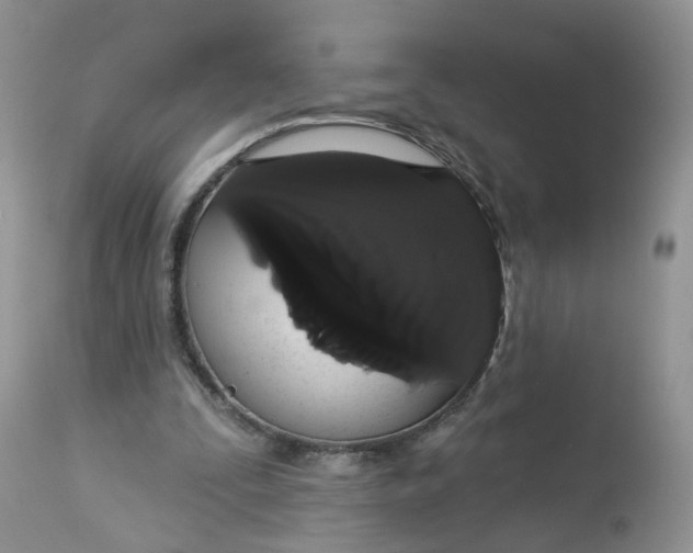 X0000113060295200909110922