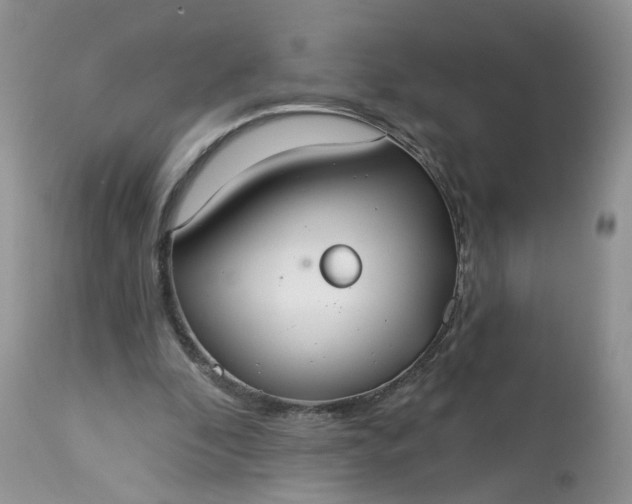 X0000113060296200909110922