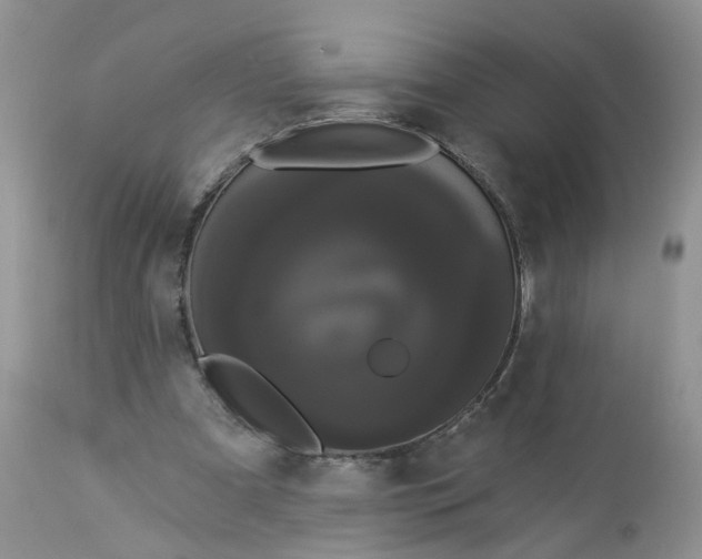 X0000113060297200909110922