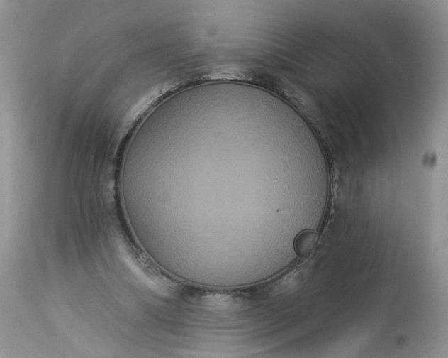 X0000113060298200909110922