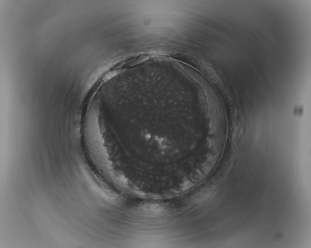 X0000113060299200909110922