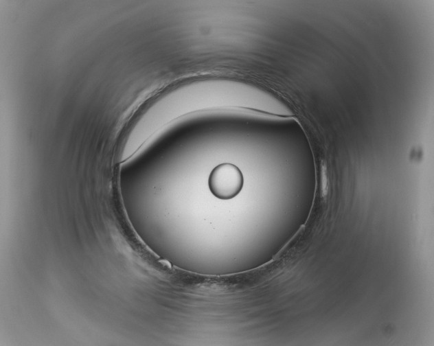 X0000113060300200909110922