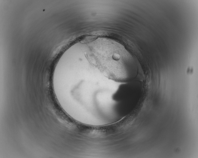 X0000113060303200909110922