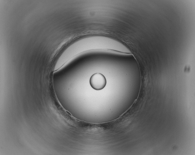 X0000113060304200909110922