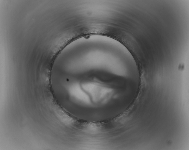 X0000113060305200909110922