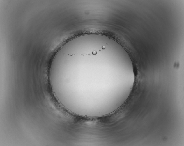 X0000113060306200909110922