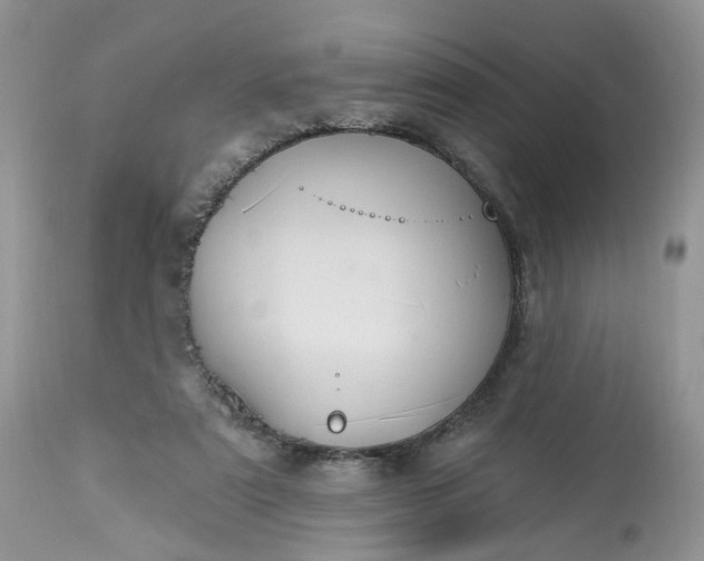 X0000113060307200909110922