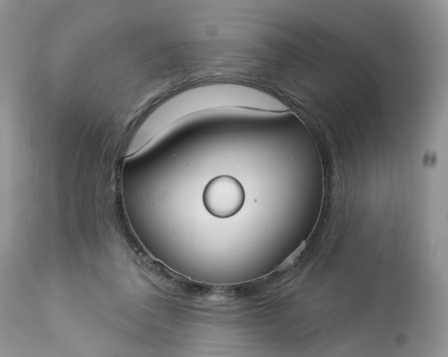 X0000113060308200909110922