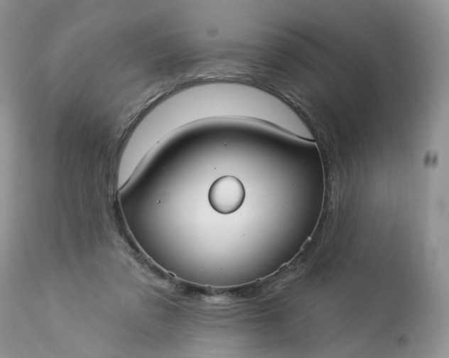 X0000113060309200909110922