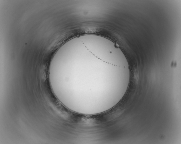 X0000113060311200909110922