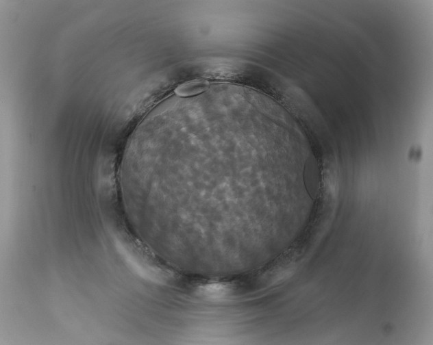 X0000113060312200909110922
