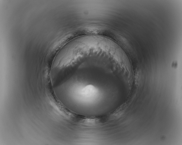 X0000113060314200909110922