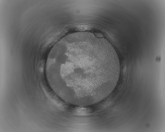 X0000113060315200909110922