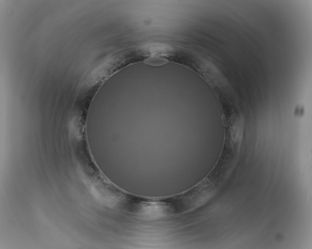 X0000113060316200909110922