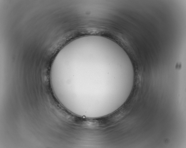 X0000113060317200909110922