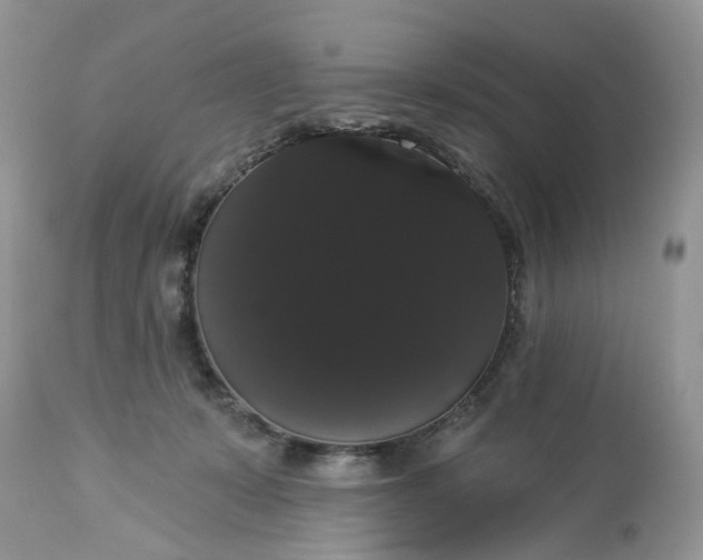 X0000113060319200909110922