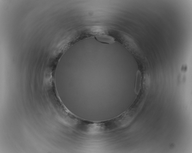 X0000113060320200909110922