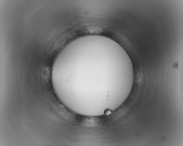 X0000113060321200909110922