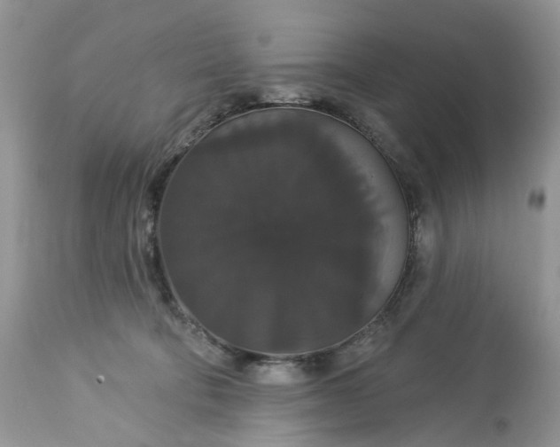 X0000113060322200909110922