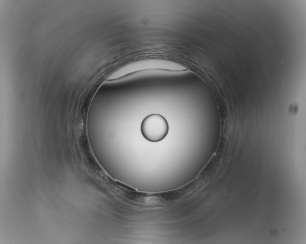 X0000113060324200909110922