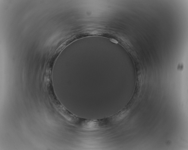 X0000113060325200909110922
