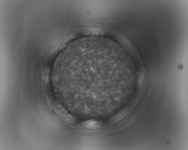 X0000113060326200909110922