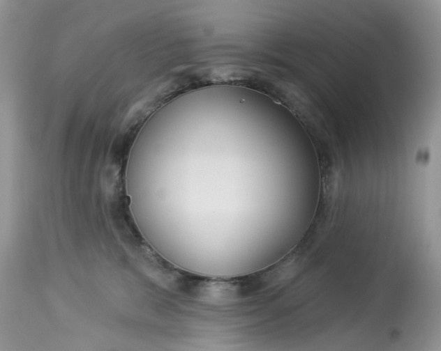 X0000113060327200909110921