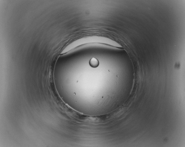 X0000113060328200909110921