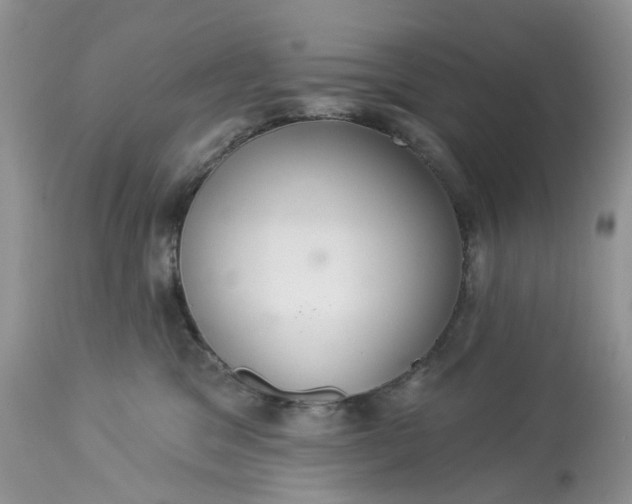 X0000113060329200909110921