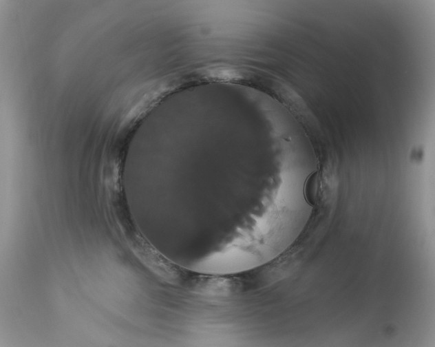 X0000113060330200909110921