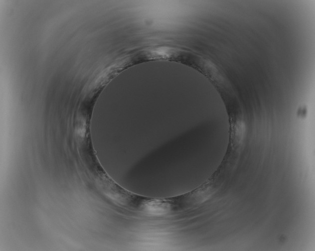 X0000113060331200909110921