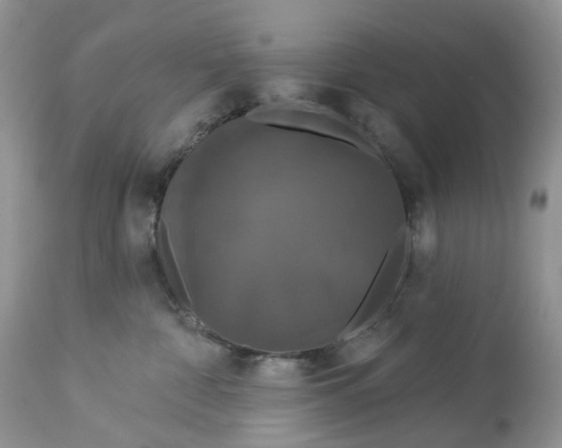 X0000113060332200909110921