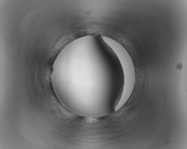 X0000113060333200909110921