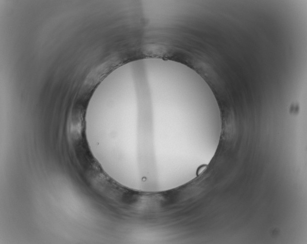 X0000113060334200909110921